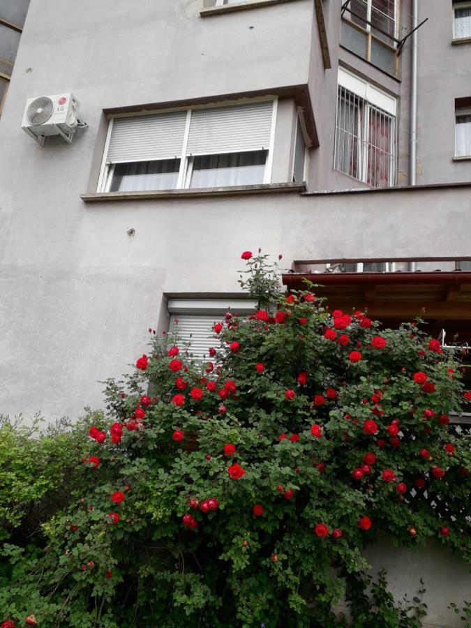 Apartments Lela Bihac Ngoại thất bức ảnh